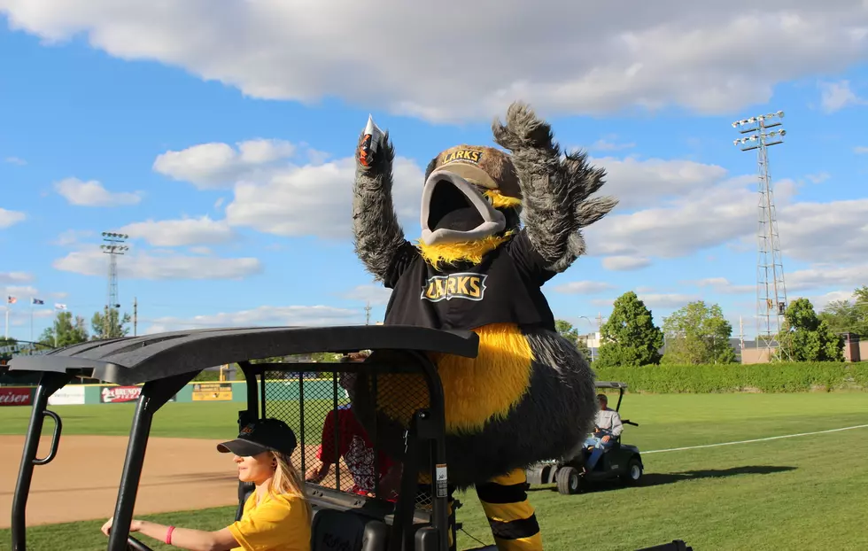 Bismarck Larks Named One Of The Best Employers In Sports