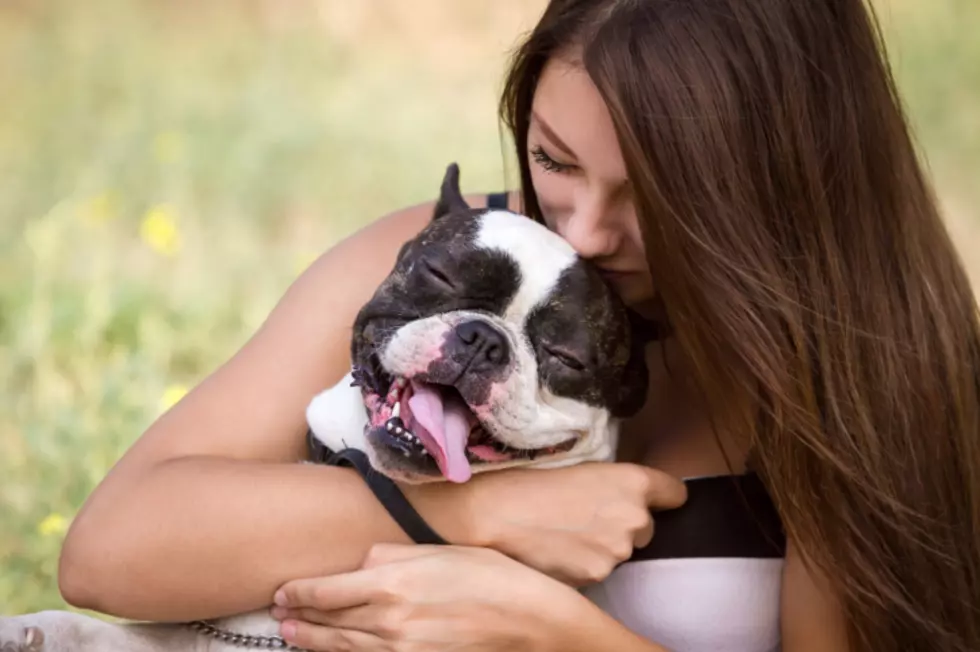 Minot Animal Shelter Awarded Grant To Help Abuse Victims & Their Pets