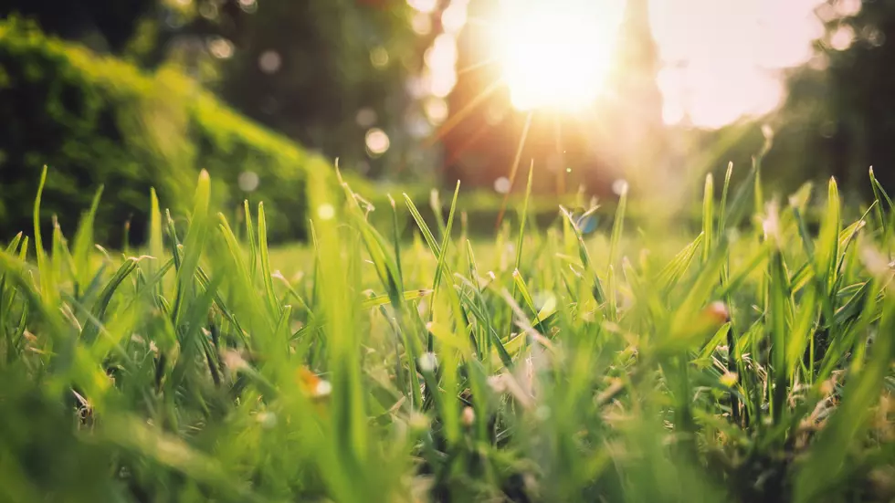 8 Reasons You May Hear North Dakotans Complaining About Spring & Summer
