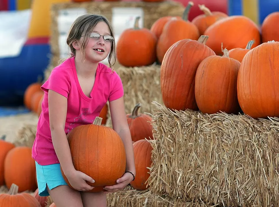 Papa’s Pumpkin Patch Is CLOSED For The Season